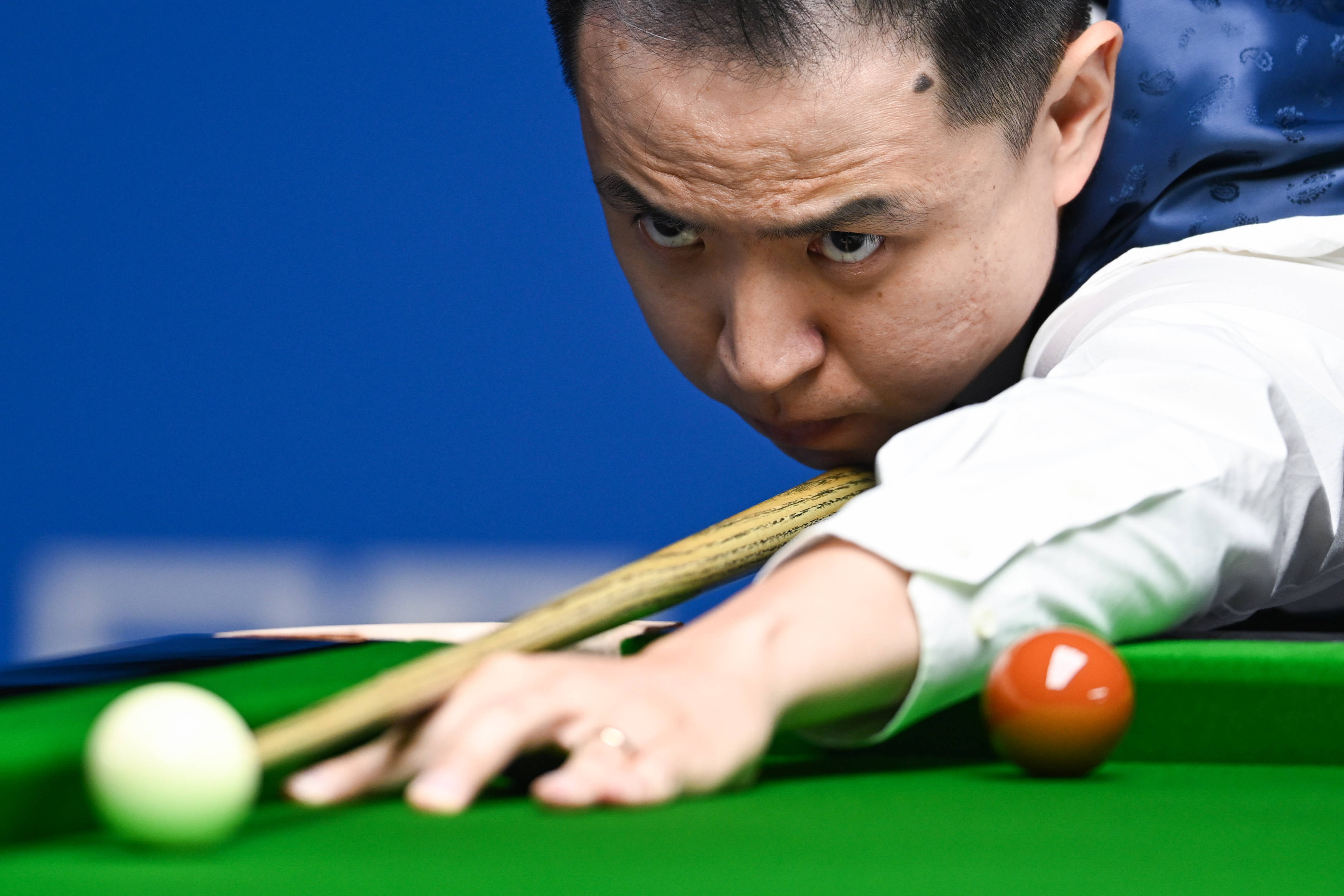 成功实施了 成功实施了