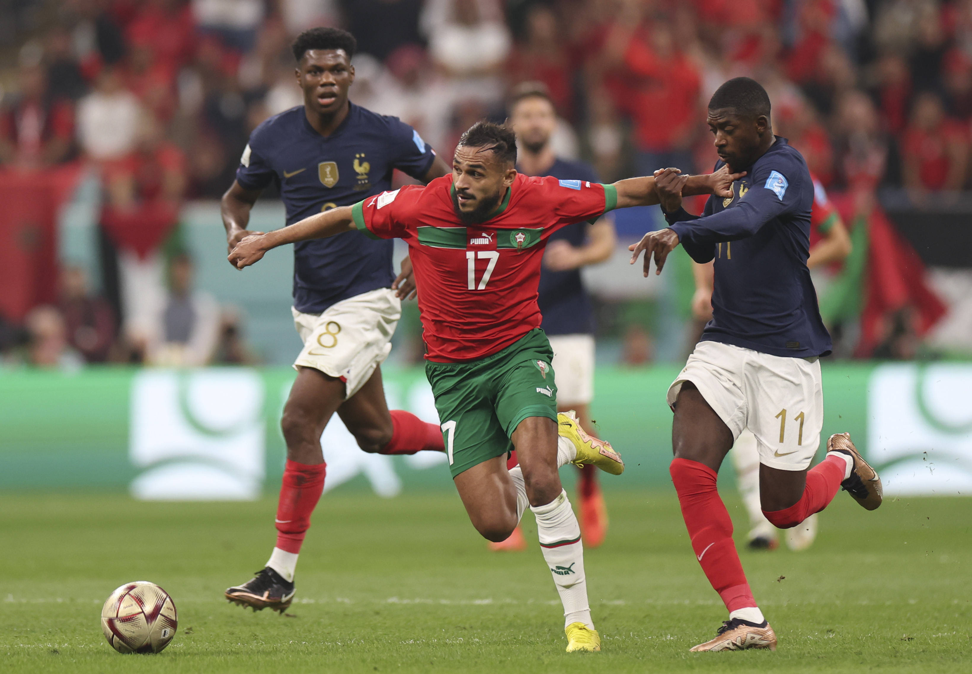 在此期间 在此期间